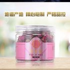 北京同仁堂 月季花