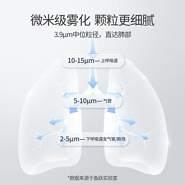 压缩式空气雾化器