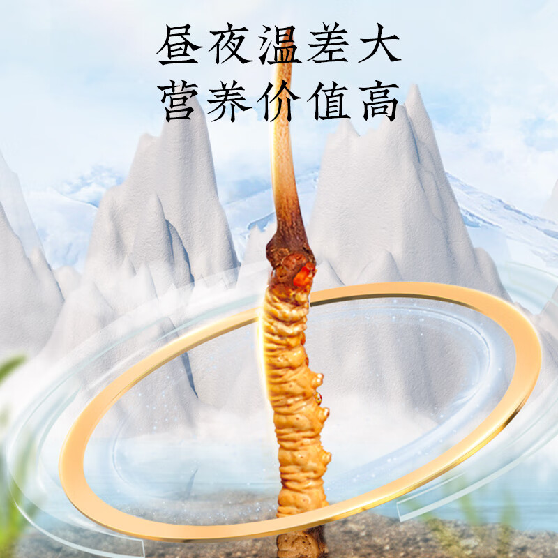 北京同仁堂 冬虫夏草 西藏虫草