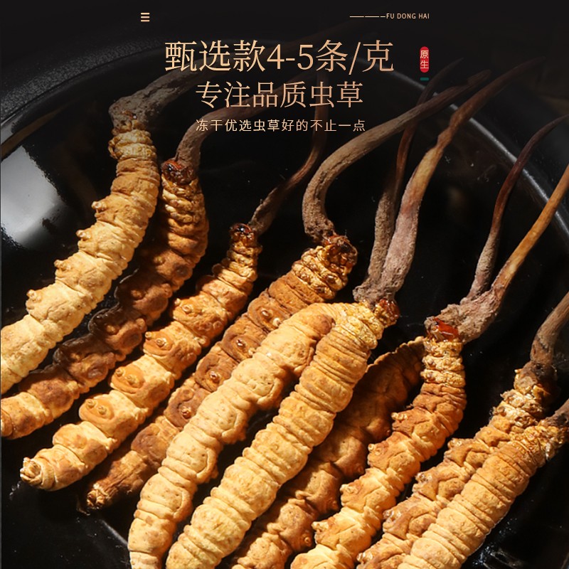 福东海  冬虫夏草 青海虫草