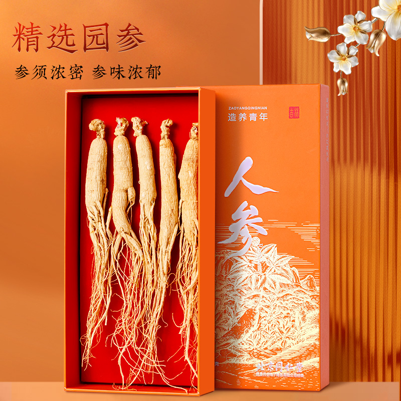 北京同仁堂 人参 园参长白山参