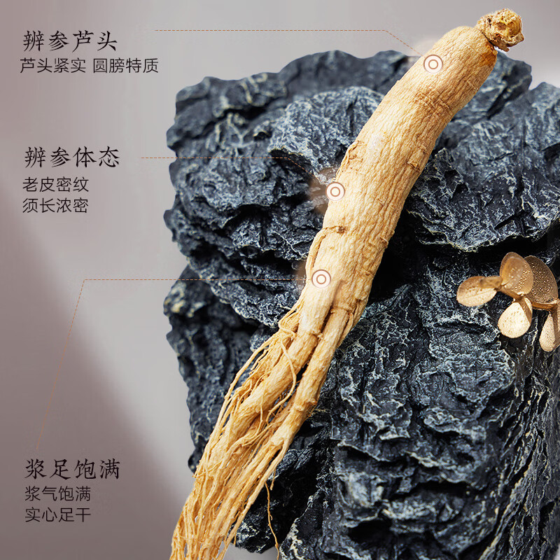 北京同仁堂 人参 园参长白山参