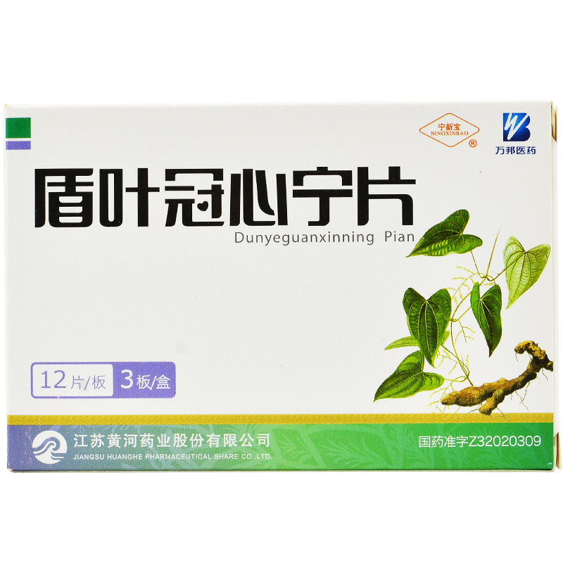 宁新宝 盾叶冠心宁片