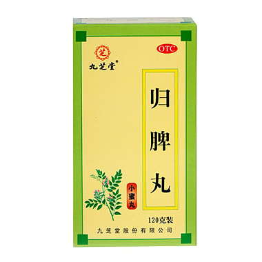 九芝堂 归脾丸 120克 九芝堂股份有限公司