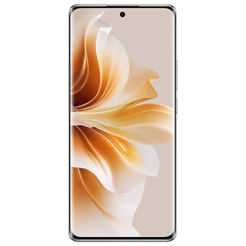 OPPO 手机Reno11-Pro