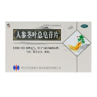 修正 人参茎叶总皂苷片