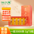 松龄堂 冬虫夏草