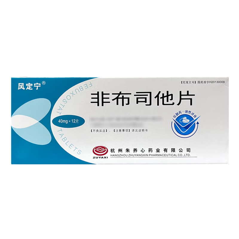 风定宁 非布司他片