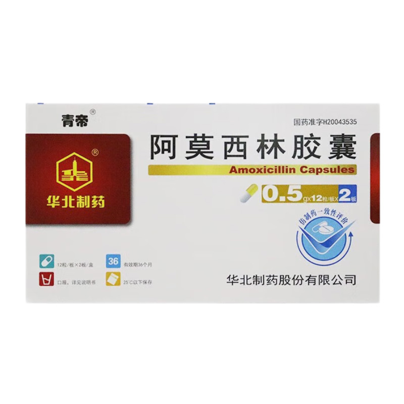 华北 阿莫西林胶囊