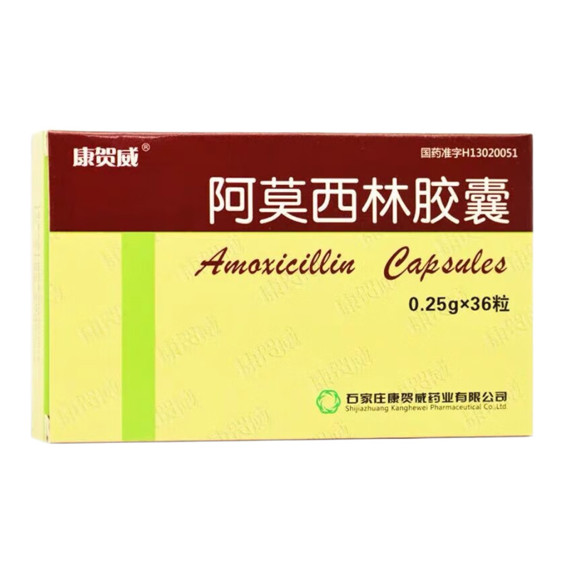 康贺威 阿莫西林胶囊