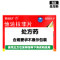 白云山 他达拉非片