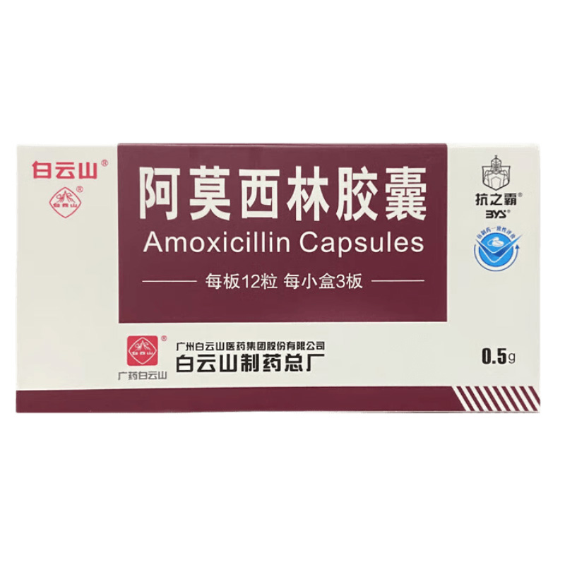 白云山 阿莫西林胶囊