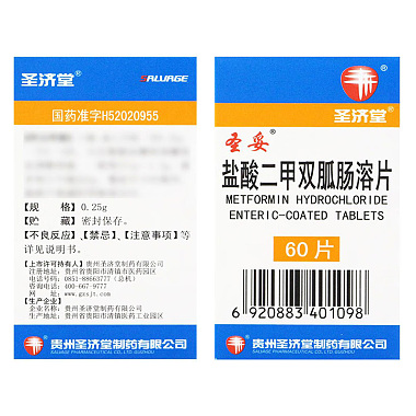 盐酸二甲双胍肠溶片